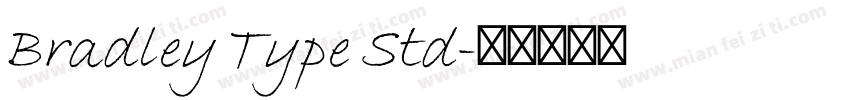 Bradley Type Std字体转换